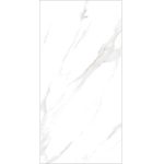 Керамогранит с серебром JF12122DJ 60x120