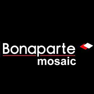 Бонапарт мозаика