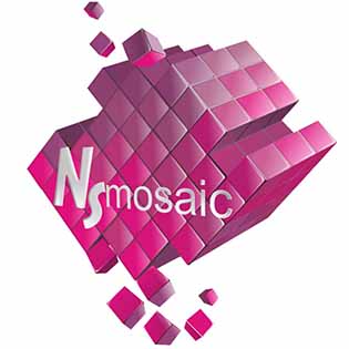 (НС мозаик) NS mosaic