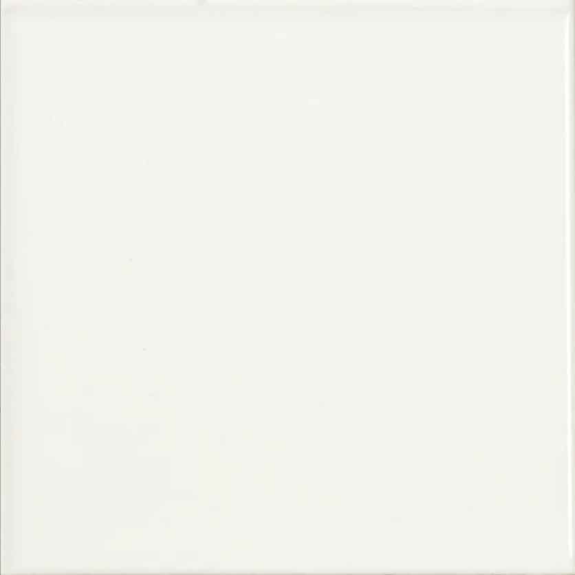 Керамическая плитка белая матовая Absolute Liso Mate Blanco 20x20 см
