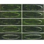 Керамическая плитка кабанчик зеленый Capella Emerald 6.2x20 см варианты оттенков в партии