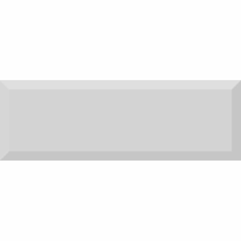 Керамическая плитка серый кабанчик глянец Monocolor Biselado Brillo Gris 10х30 Керамическая плитка серый кабанчик глянец Monocolor Biselado Brillo Gris 10х30